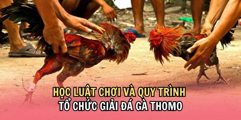 Nắm bắt cơ chế hoạt động để tham gia vui chơi suôn sẻ